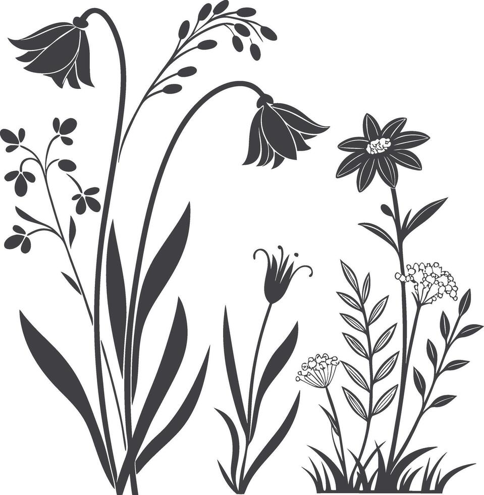 Flowers and grass vector