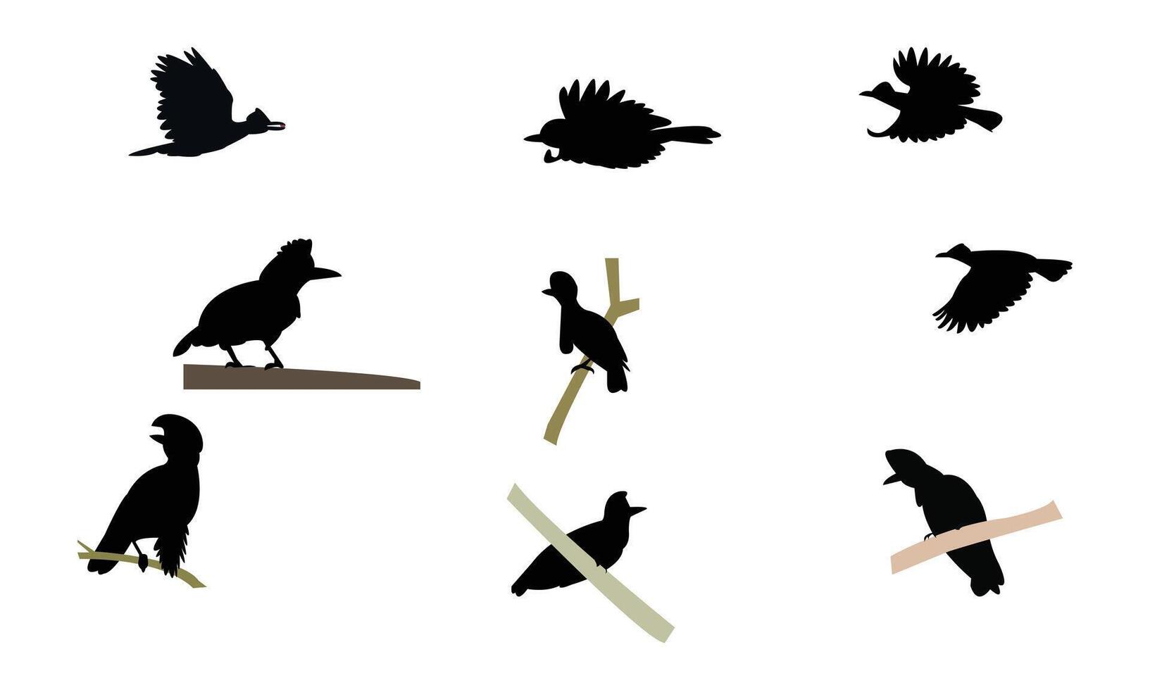 Amazonian umbrellabird bird Silhouette Collection vector