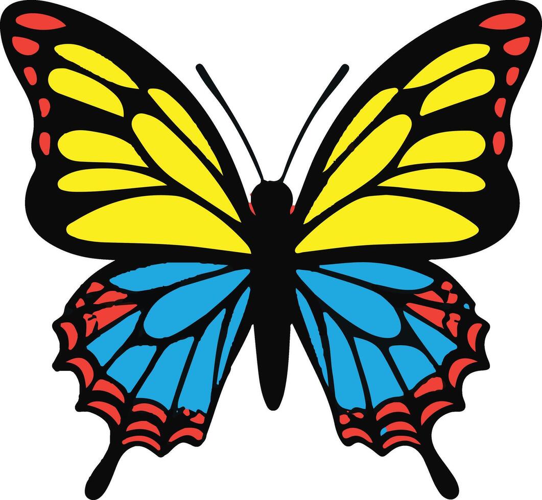 Vibrant Colorful Butterfly Design vector