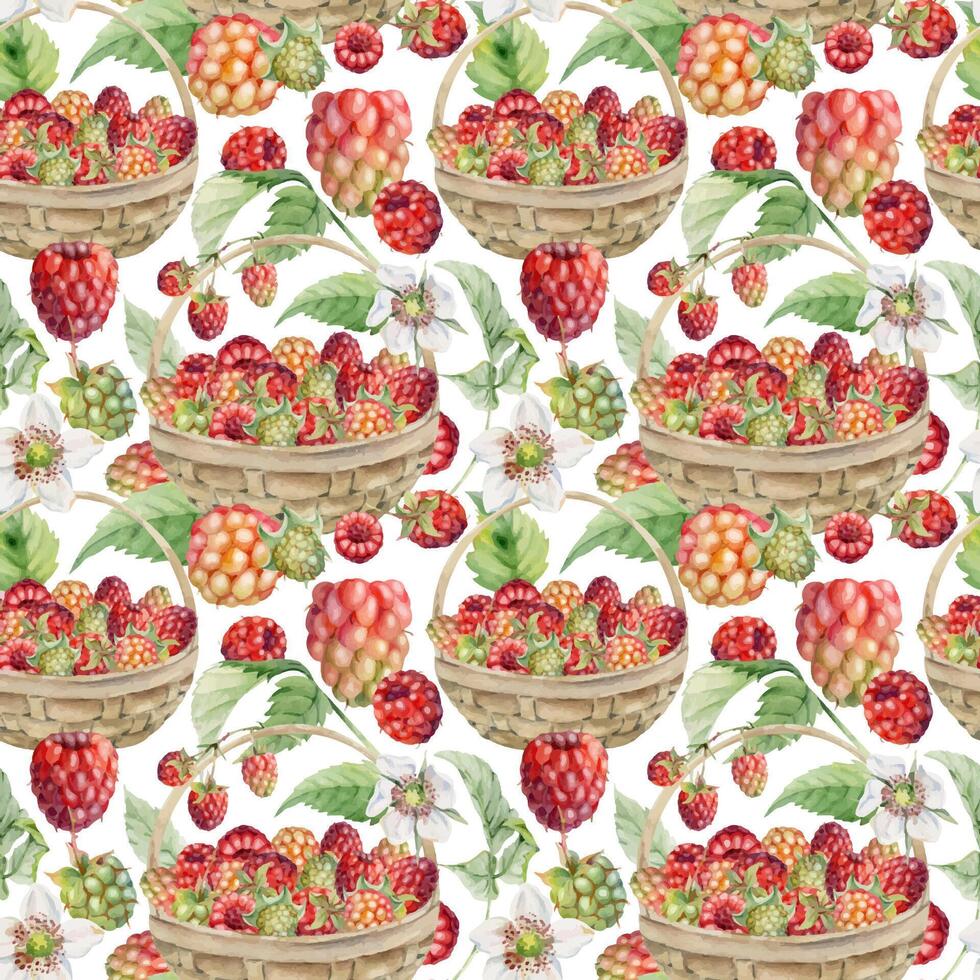 Raspberry with leaves in weaved basket. Scattered ripe picked forest garden berry harvest, hand drawn in watercolor. Isolated seamless pattern. Home preserves, textile linens, food store, packaging vector