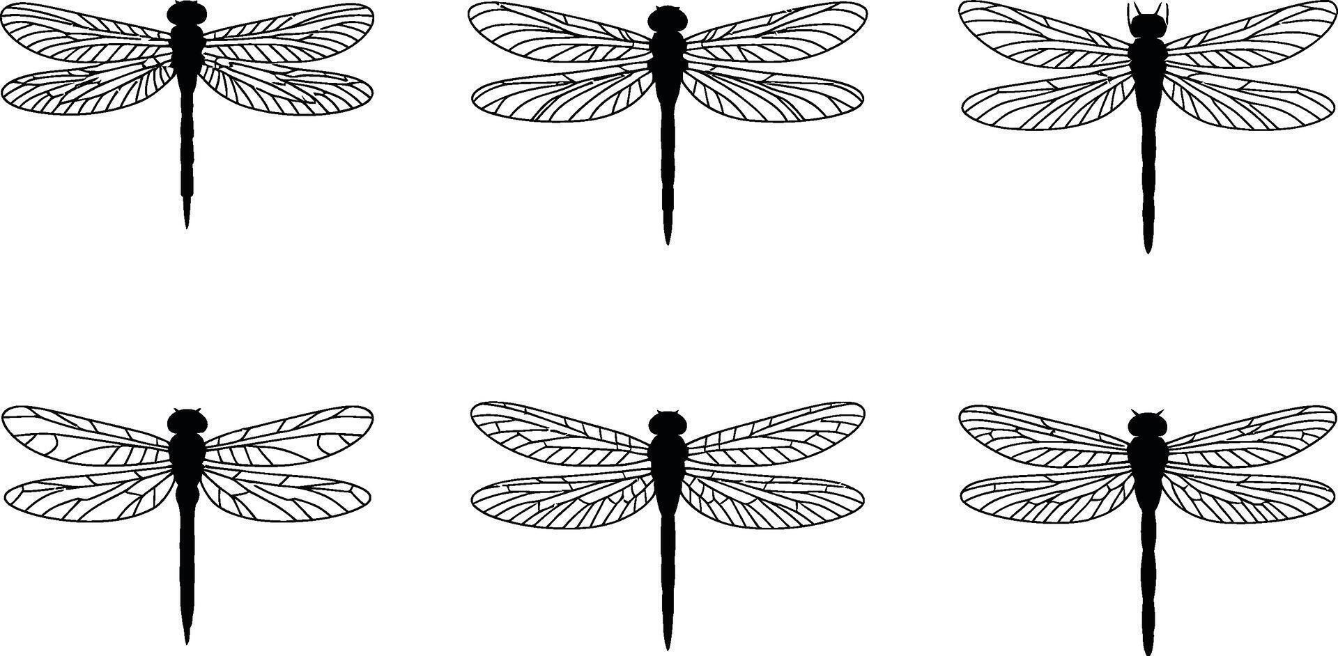 Dragonfly silhouettes in a repeating pattern on a white background insect design vector