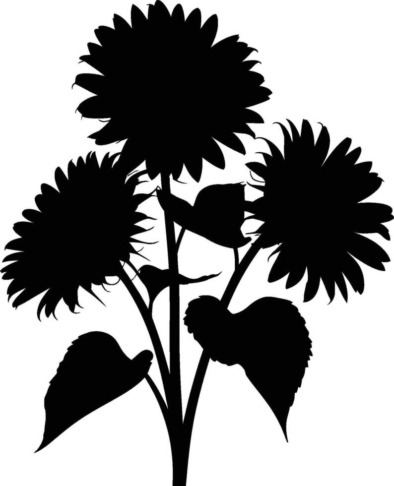 Three sunflower silhouettes on stems with leaves isolated against white background vector