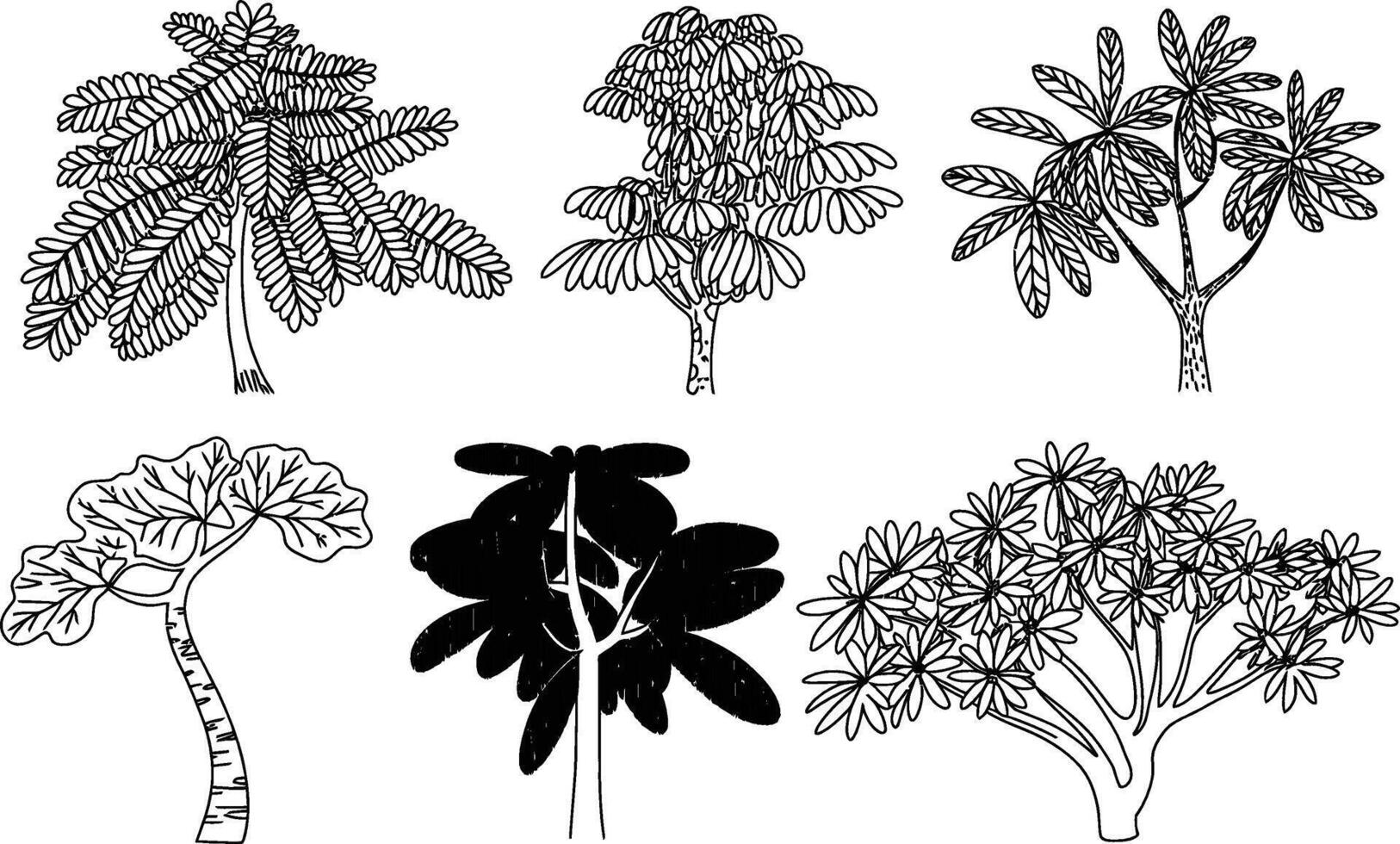 Hand drawn diverse tree illustrations tropical plant outline sketch design vector