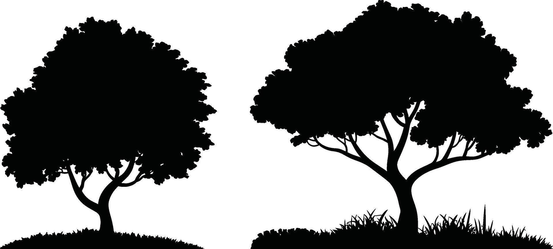 Silhouette illustration of two trees with bushes on white background graphic vector