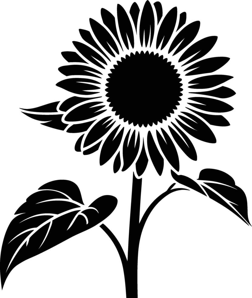 Sunflower illustration with stem and leaves black and white design vector