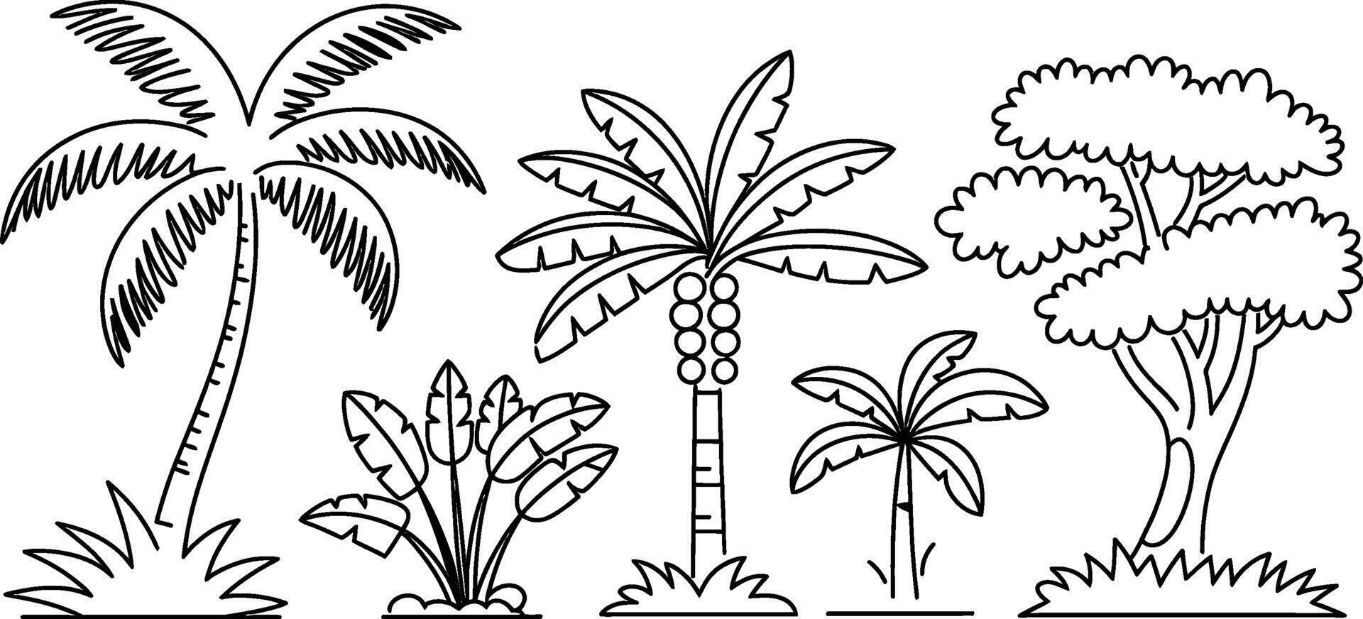 Tropical trees set outlines simple black and white jungle flora illustration vector