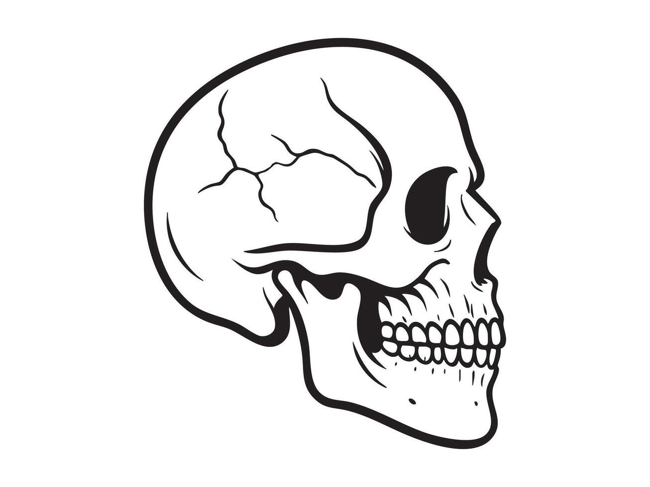 Black outline illustration of human skull in side view isolated on white background. concept of anatomy, medical study, symbolism, design element, halloween decor, death symbol vector