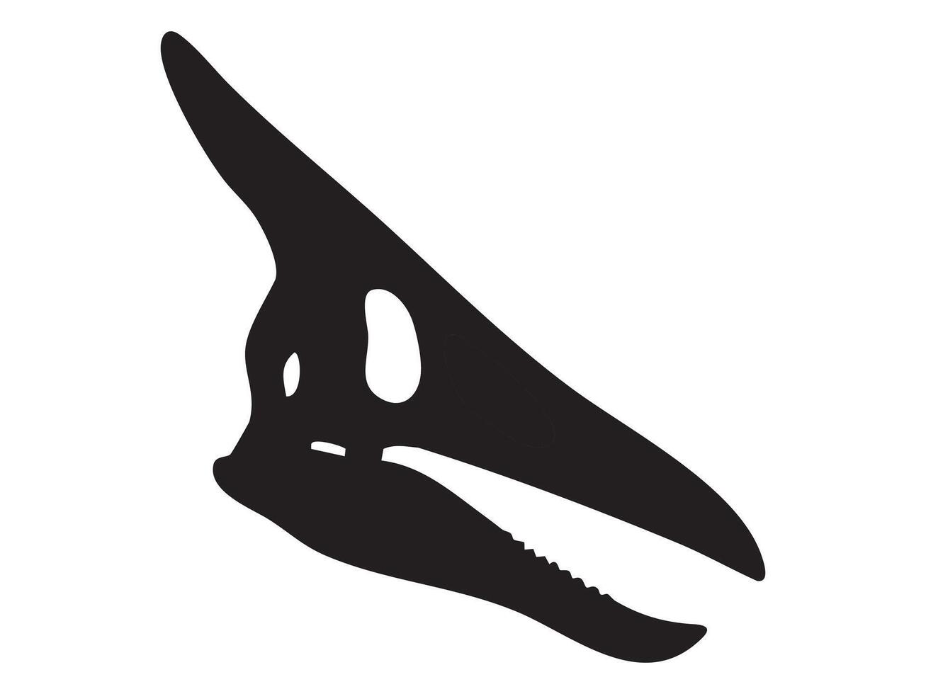 Black silhouette of pterosaur skull with long beak and sharp teeth, isolated on white background, graphic illustration. Concept of prehistoric flying reptile skeleton, pterodactyl fossil vector