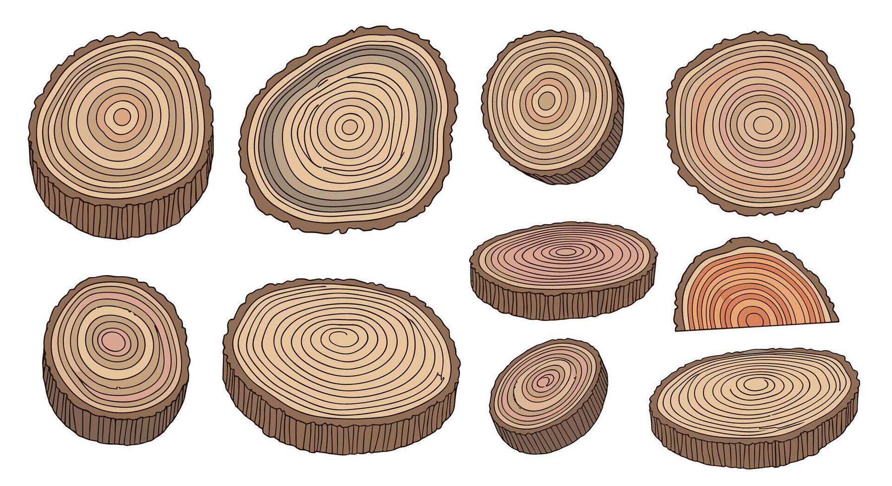 Wood tree stump vector