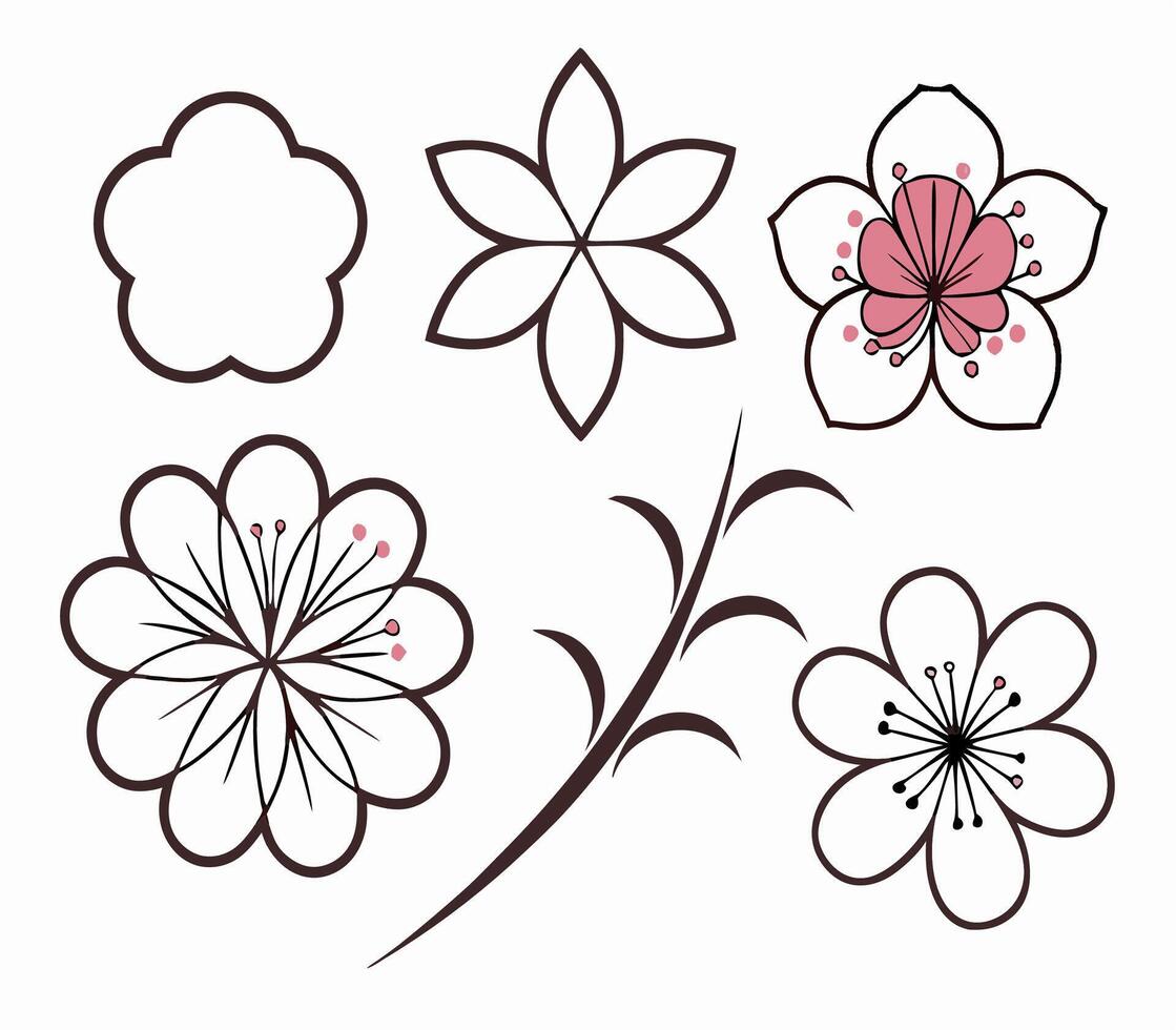 Collection of Simple Line Art Flowers Cherry Blossoms and Floral Designs vector
