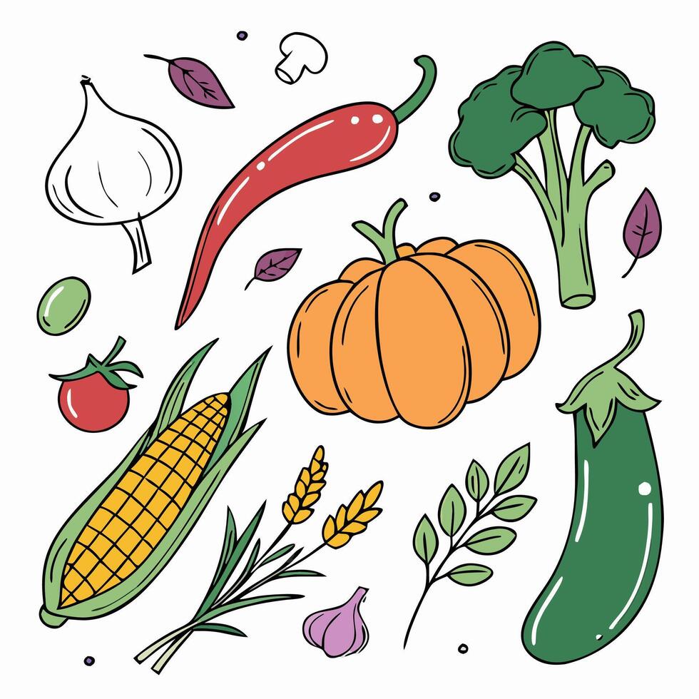Hand drawn Vegetables Pumpkin, Corn, Broccoli, and More vector