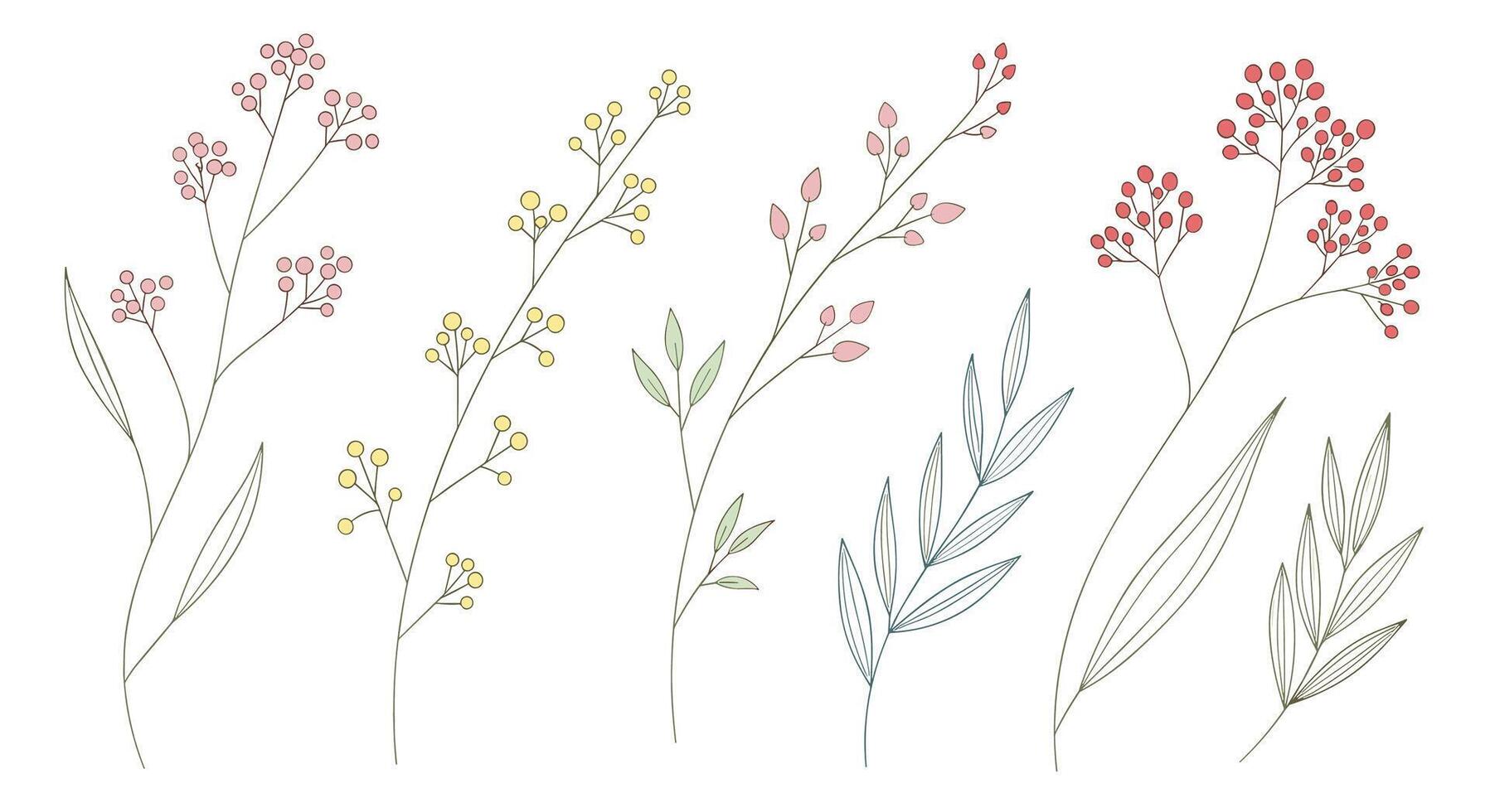 Delicate Floral Illustrations A Collection of Elegant Botanical Elements for Various Design Projects vector