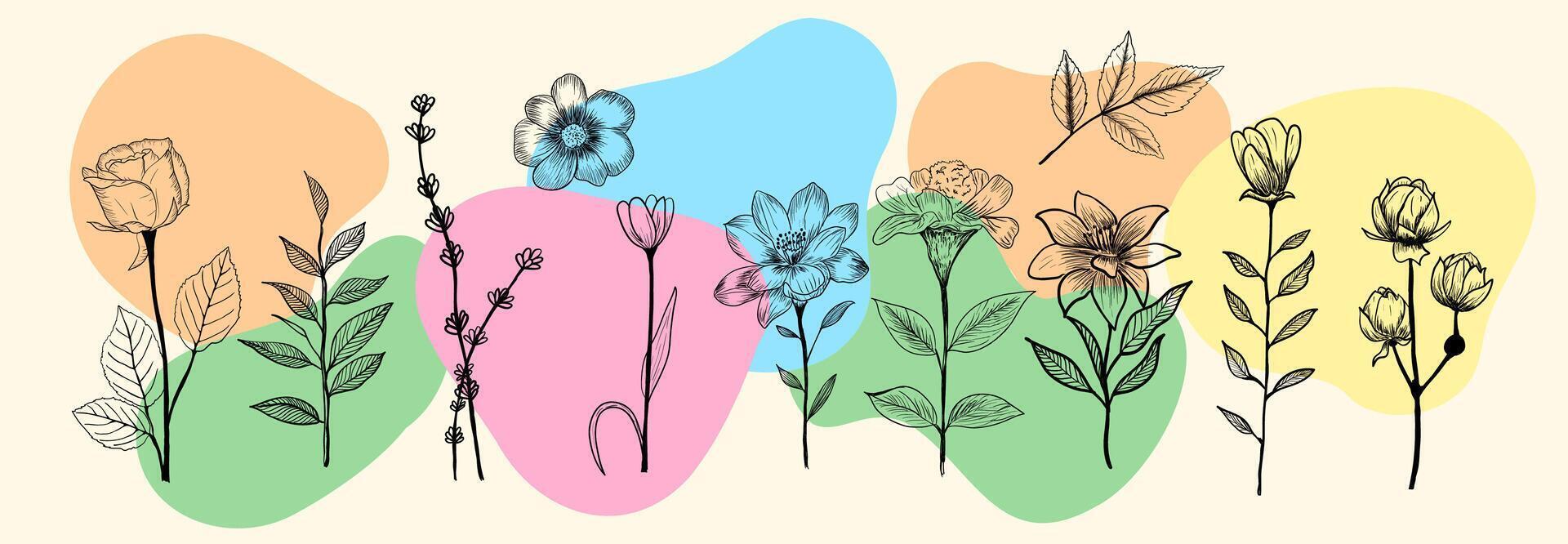 Set of Hand Drawn Floral Line Art Set with Colorful Abstract Background. vector