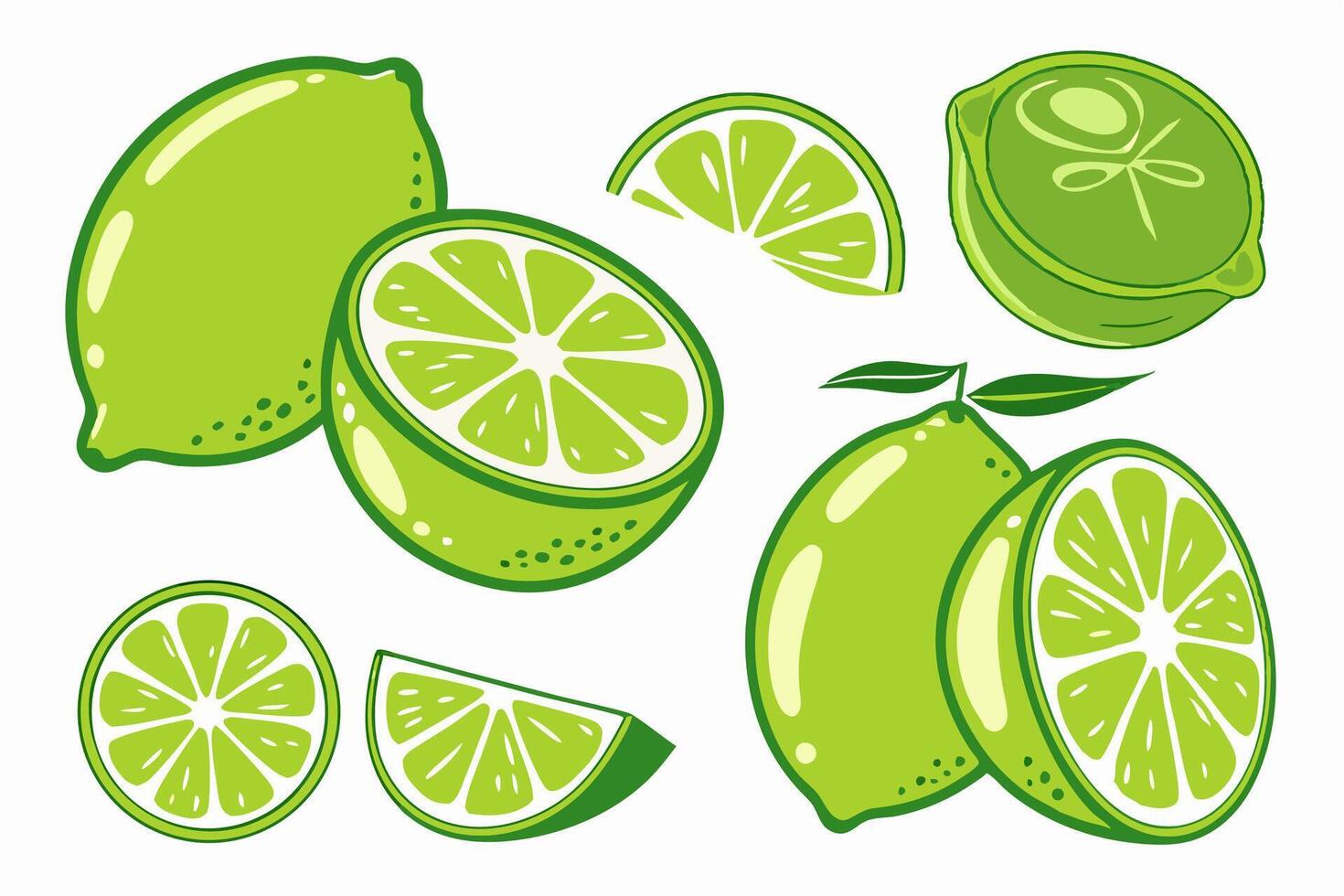 Fresh Limes Whole, Sliced, and Halved Illustration vector