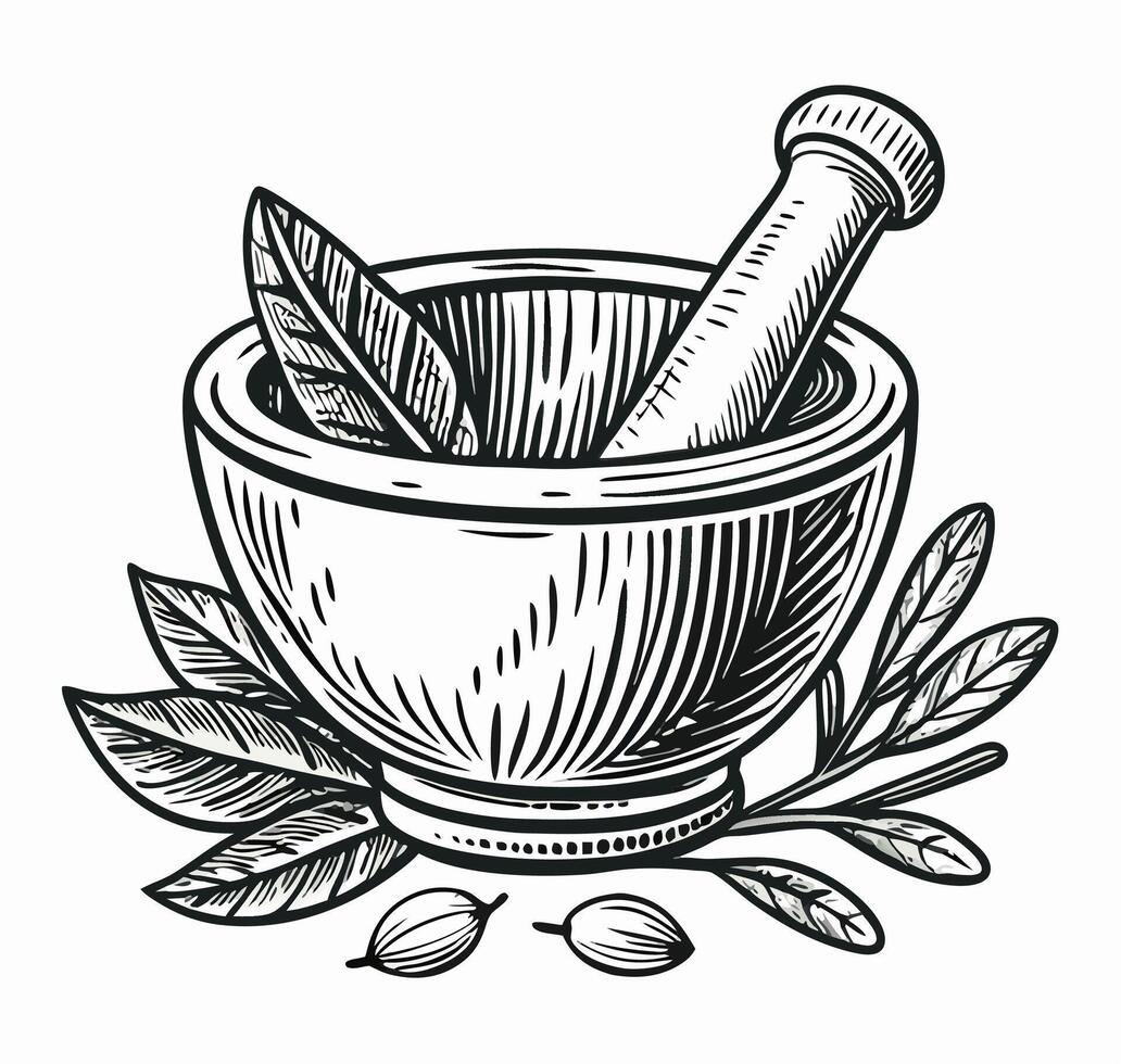 Engraving of Mortar and Pestle with Herbs vector