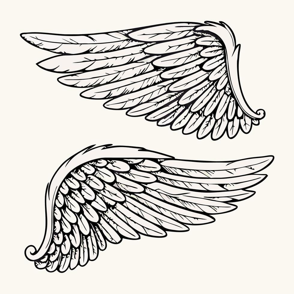 Pair of Detailed Hand Drawn Wings Illustration vector