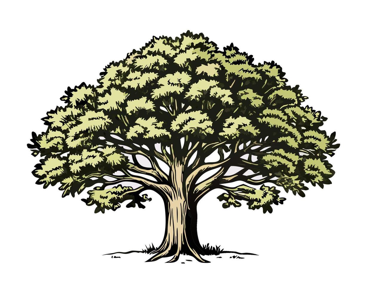 Large Green Oak Tree Illustration Hand Drawn Nature Graphic vector
