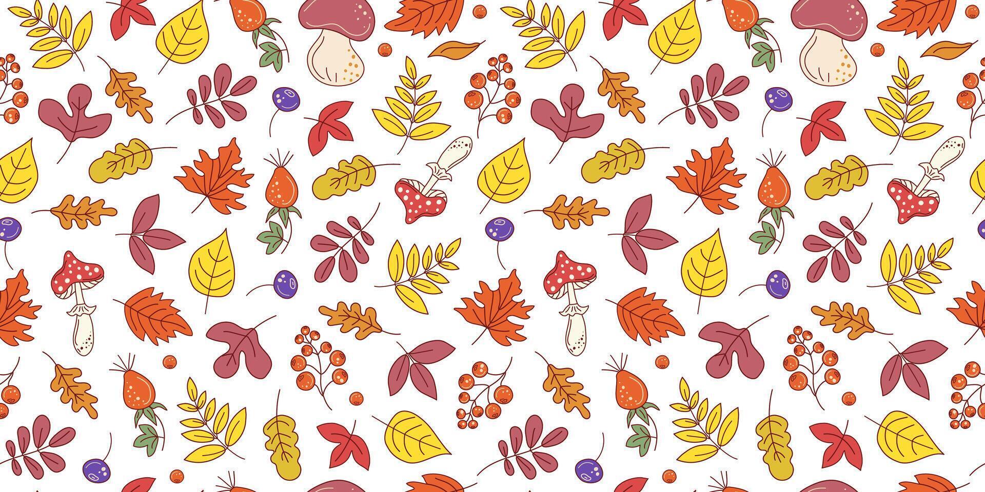 Autumn set of leaves, mushrooms and berries. Pattern seamless. Fly berry, branches doodle, drawings, sketch. Natural botanical repeating background. vector