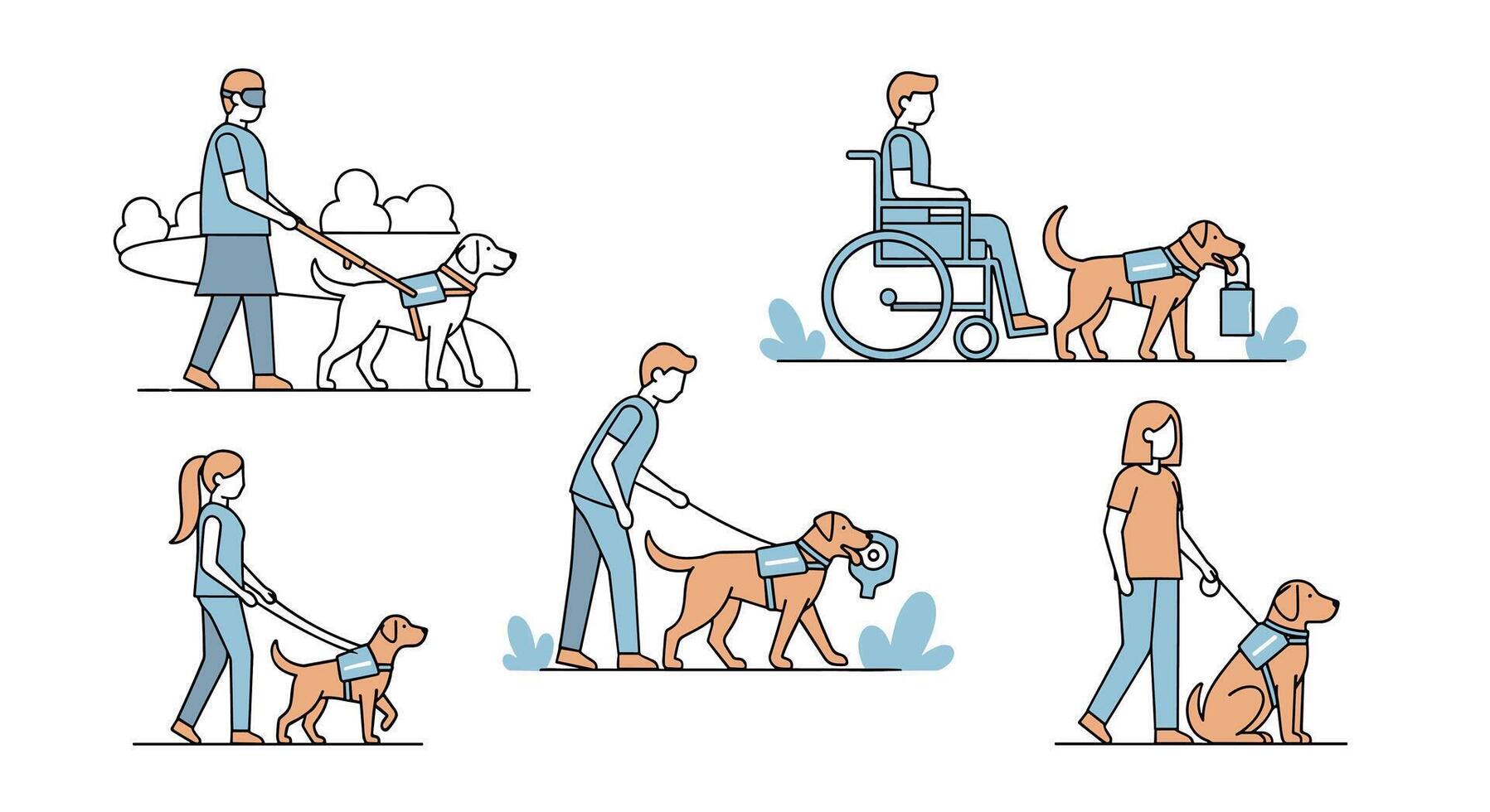 People walking dogs in different poses vector