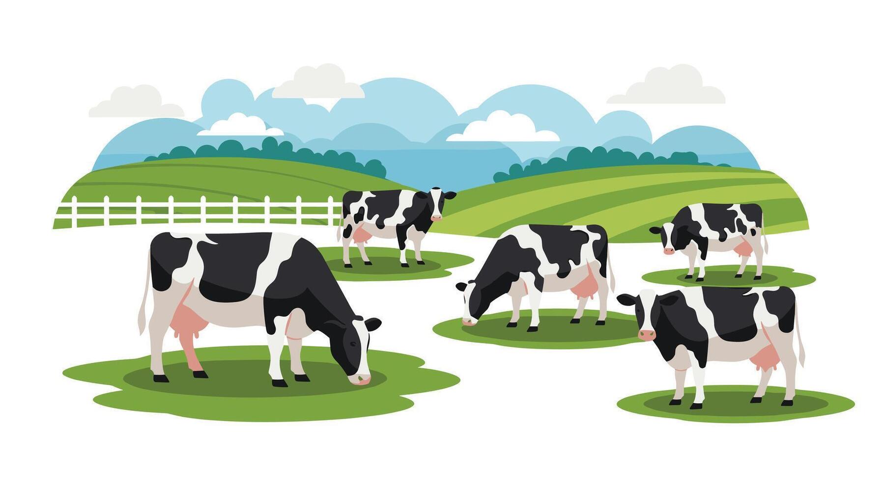 A Pastoral Symphony Black and White Cows Grazing on Green Fields Under Blue Sky vector
