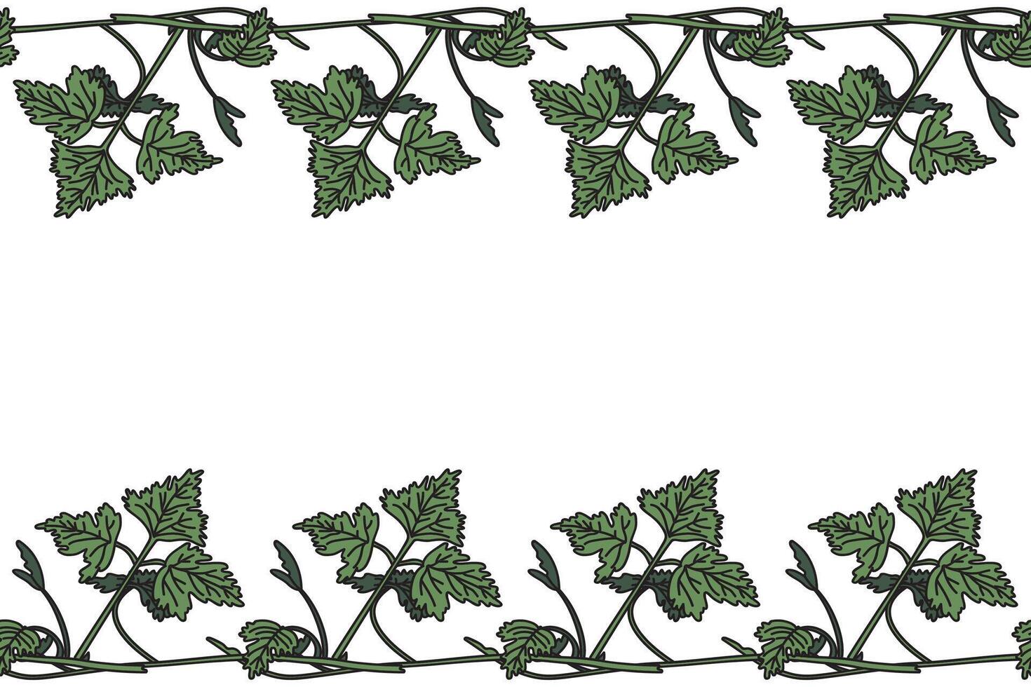 Botanical floral horizontal border with grapevine isolated on white background. Hand drawn vine plant with long stem and green leaves illustration. Graphic design element for Banner Birthday Wedding vector