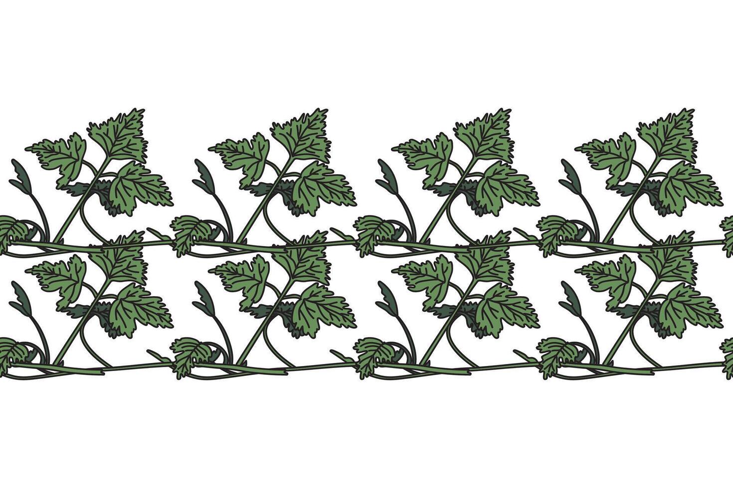 Botanical floral horizontal border with grapevine isolated on white background. Hand drawn vine plant with long stem and green leaves illustration. Graphic design element for Birthday Wedding vector