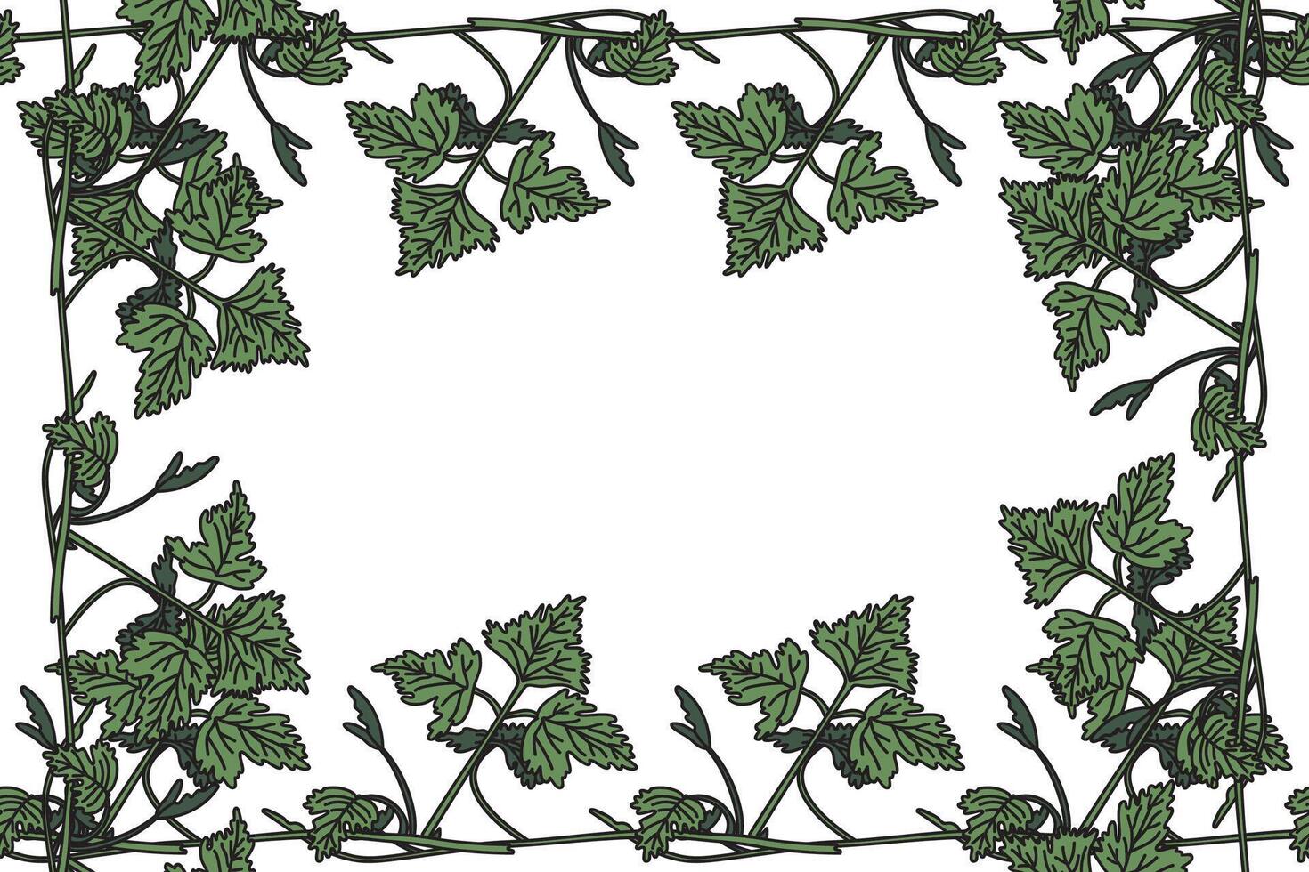 Botanical floral frame with grapevine isolated on white background. Hand drawn vine plant with long stem and green leaves illustration. Graphic design element for Birthday Wedding Greeting Card vector