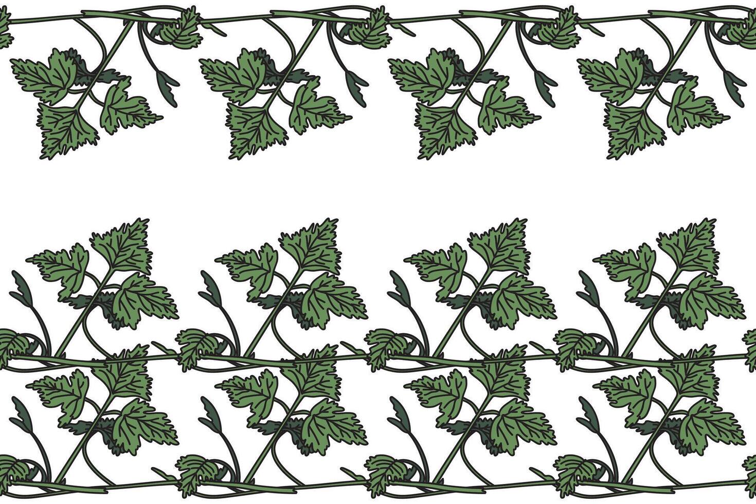 Botanical floral horizontal border with grapevine isolated on white background. Hand drawn vine plant with long stem and green leaves illustration. Graphic design element for Birthday Wedding Card vector