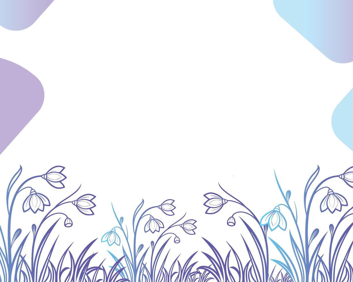 Spring Snowdrop Blossoms Floral Illustration for Cards or Social Media and frame with flowers background. vector