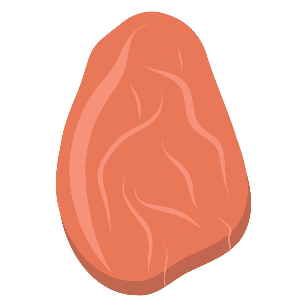 Raw slice fillet with veins. Raw steak illustration on a white background. Meat piece, sirloin vector