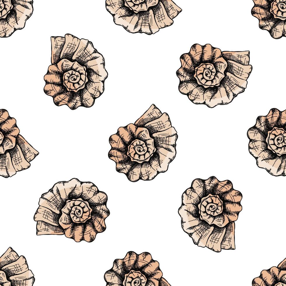 Hand drawn vintage seamless pattern of beige spiral seashells in engraving sketch style for ocean designs vector