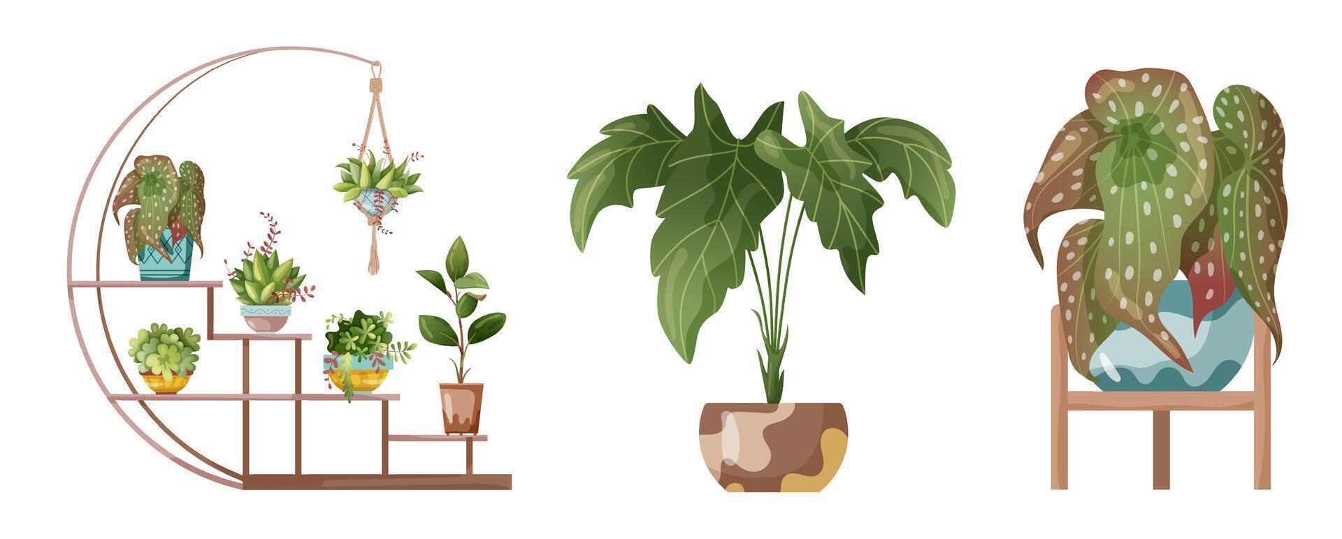 Houseplant and macrame plant growing in pots. Set of handmade home decorations macrame plants vector