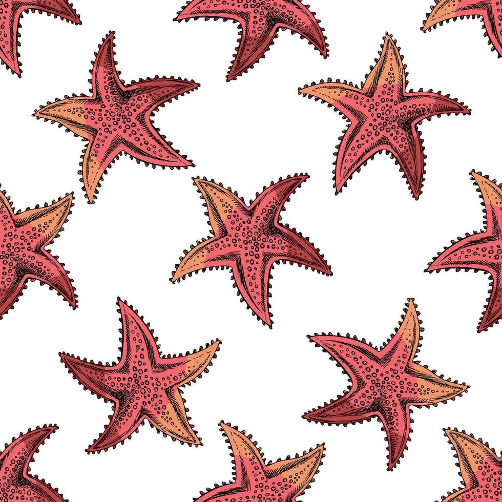 Hand drawn seamless pattern of red starfish in engraving sketch style for nautical summer surface design vector