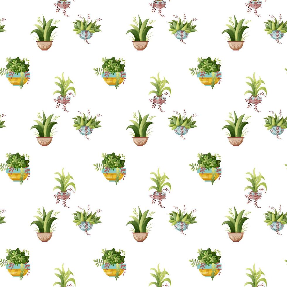 Seamless pattern. Houseplant plant growing in pots. Set of handmade home plants isolated on white background. Cartoon vector