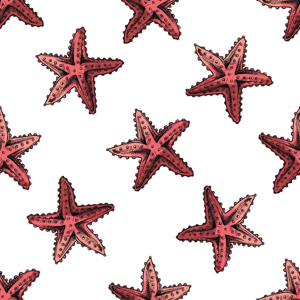 Hand-drawn vintage seamless pattern of red starfish in engraving sketch style for nautical summer surface design vector