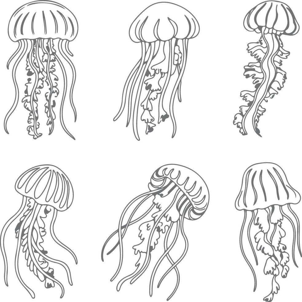 Six Gray Silhouette Jellyfish Illustrations Aquatic Ocean Life Sea Creatures Marine Animals Underwater World Design Elements Graphic Art Print vector