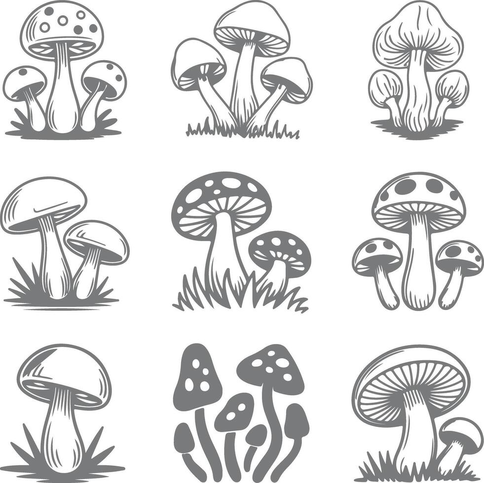 Nine Gray Scale Mushroom Silhouette Illustrations Set Botanical Fungi Drawings Collection Vintage Style Nature Graphic Design Elements vector