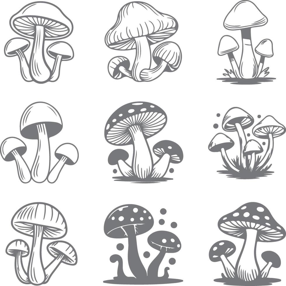 Nine Detailed Gray and White Mushroom Silhouettes Various Styles Clusters Groups Botanical Illustrations vector