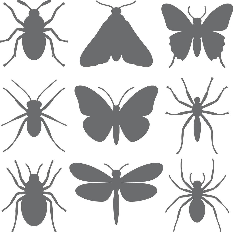 Nine Gray Insect Silhouettes Collection Various Bugs Butterflies Moths Spiders Simple Flat Design Graphics vector