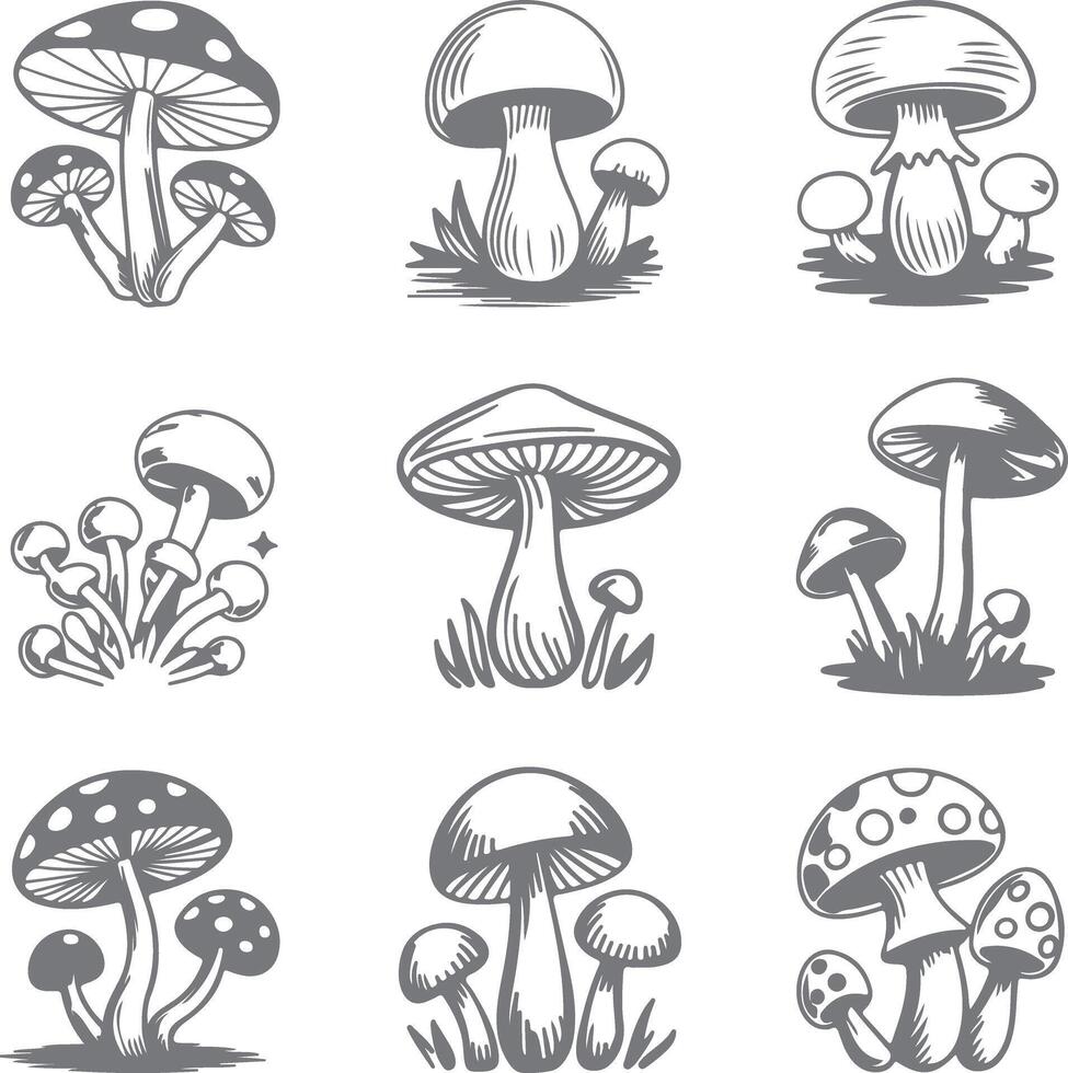 Nine Gray Scale Mushroom Silhouette Illustrations Various Types and Sizes Hand Drawn Style Botanical Set vector