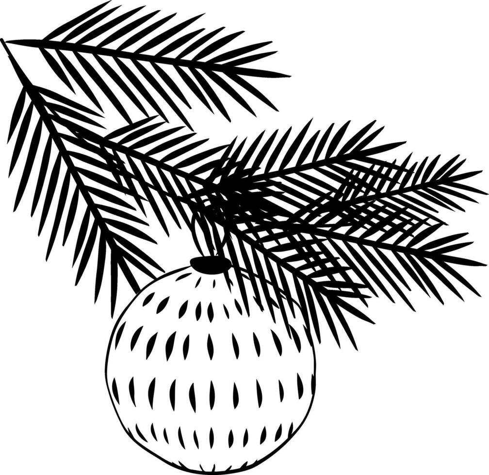 Christmas tree ball green fir branch black and white composition isolated. graphic line ink illustration. transparent glass xmas ornament, pine evergreen plant element template vector