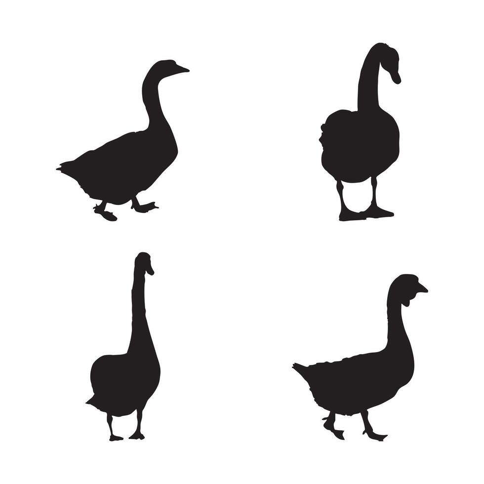 Swan and Duck Silhouette Set Black Illustrations Isolated on White Background vector