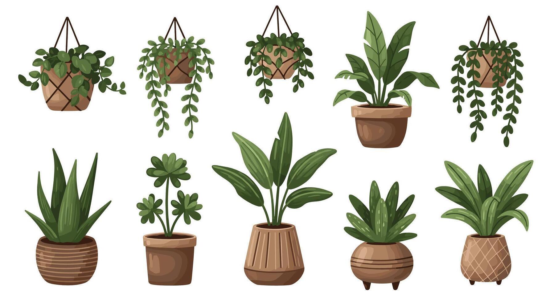 A Guide to Bringing the Outdoors In Decorating With Houseplants For Every Home vector