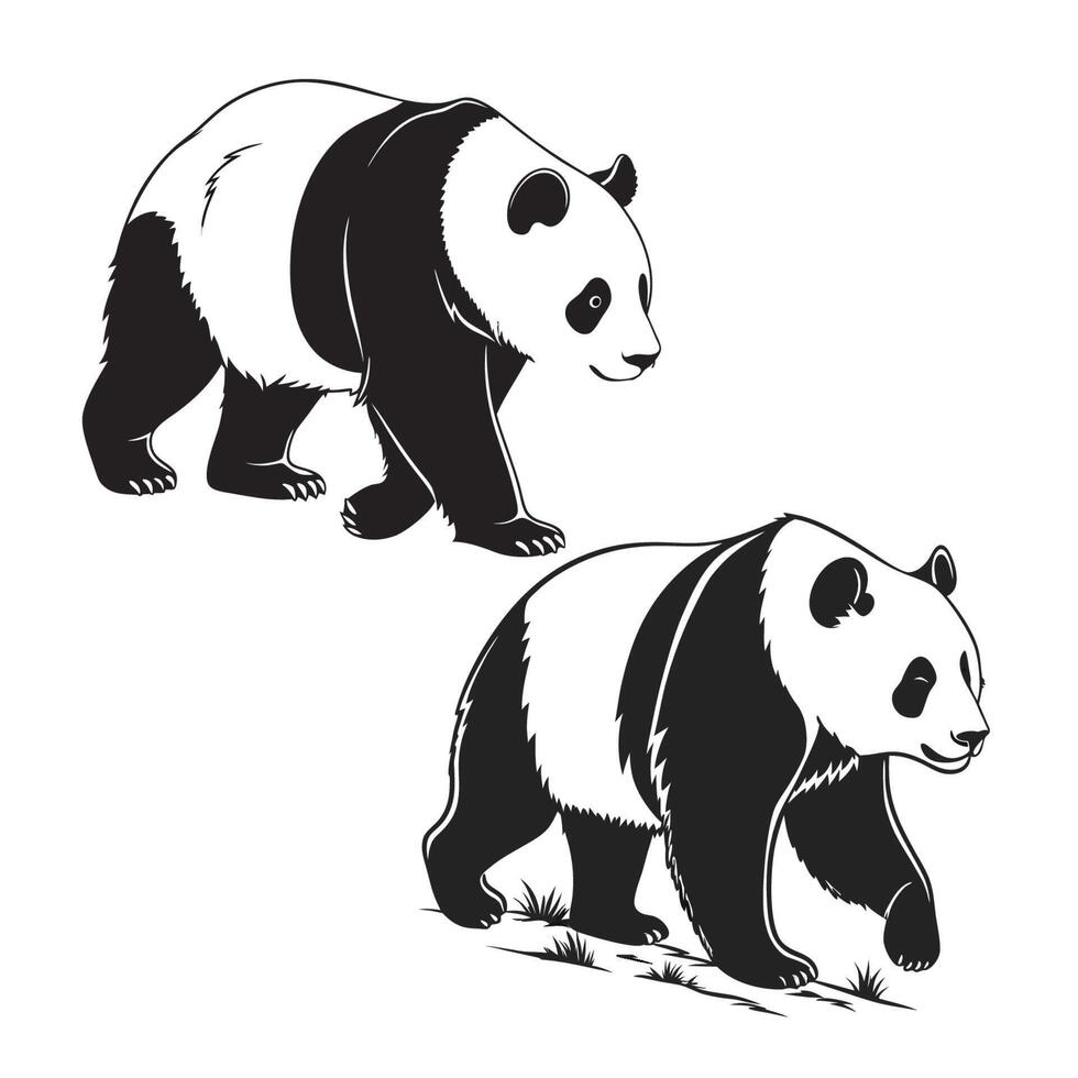 Walking Panda Bear Illustrations Black and White Wildlife Art vector