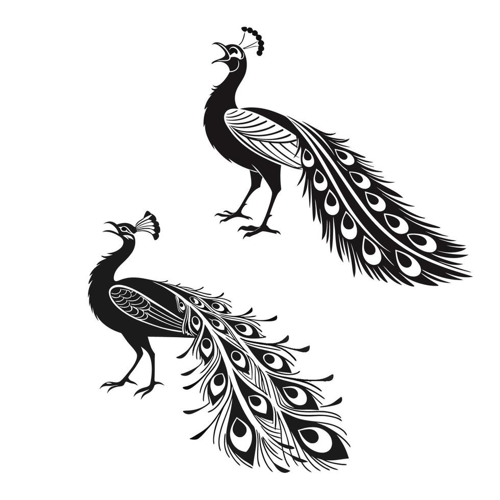 Peacock Silhouettes Majestic Display and Graceful Bird Art vector