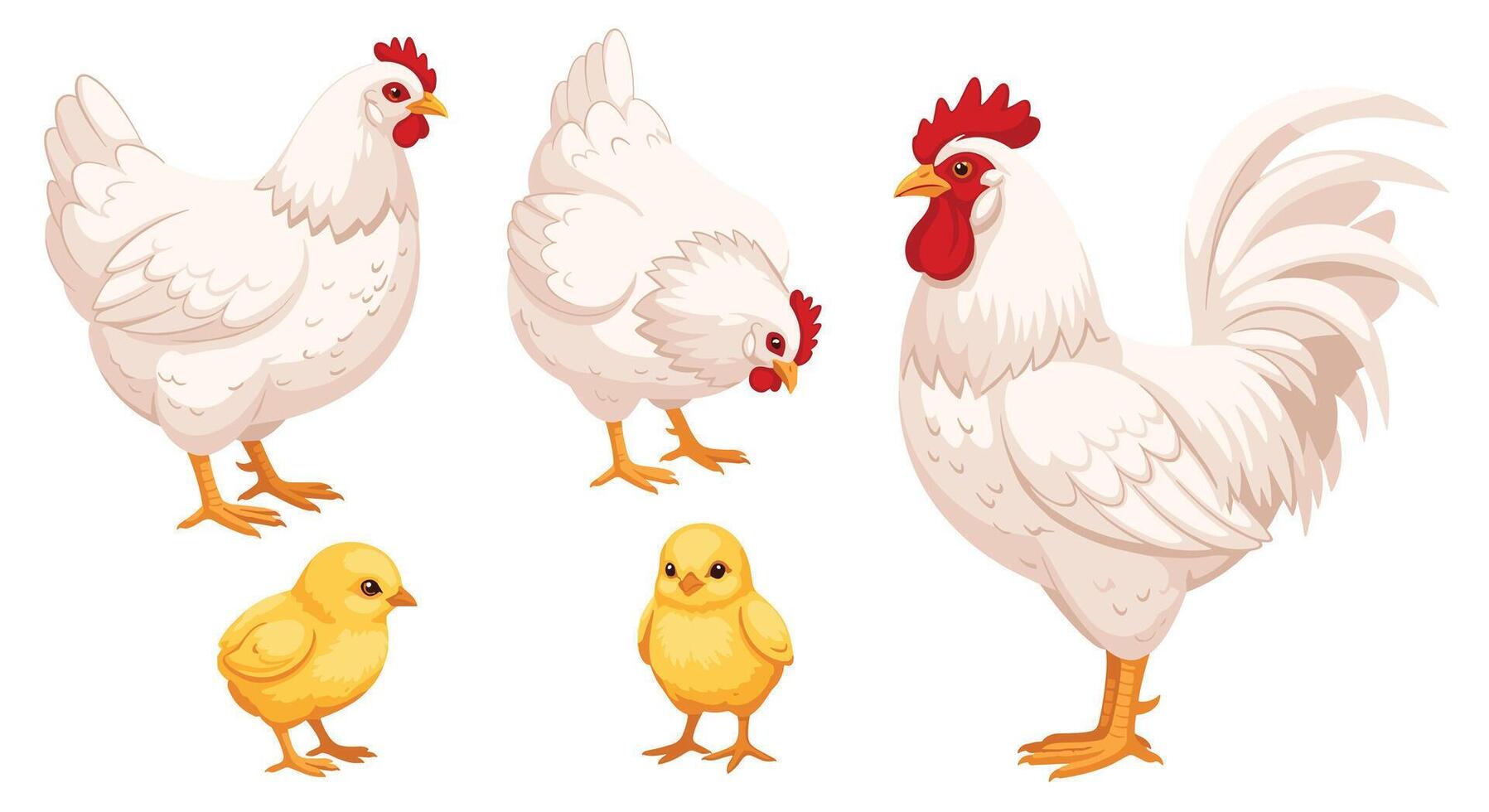 illustration of chicken and baby chicken vector