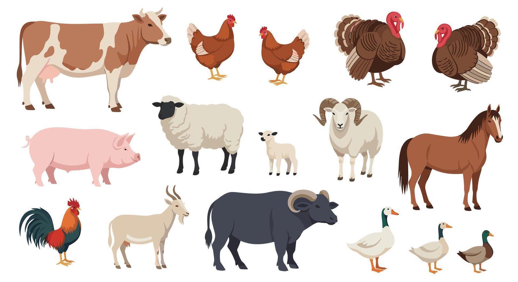 Raising Animals in Farm Fresh Environment for Production and Consumption Needs Purposes vector