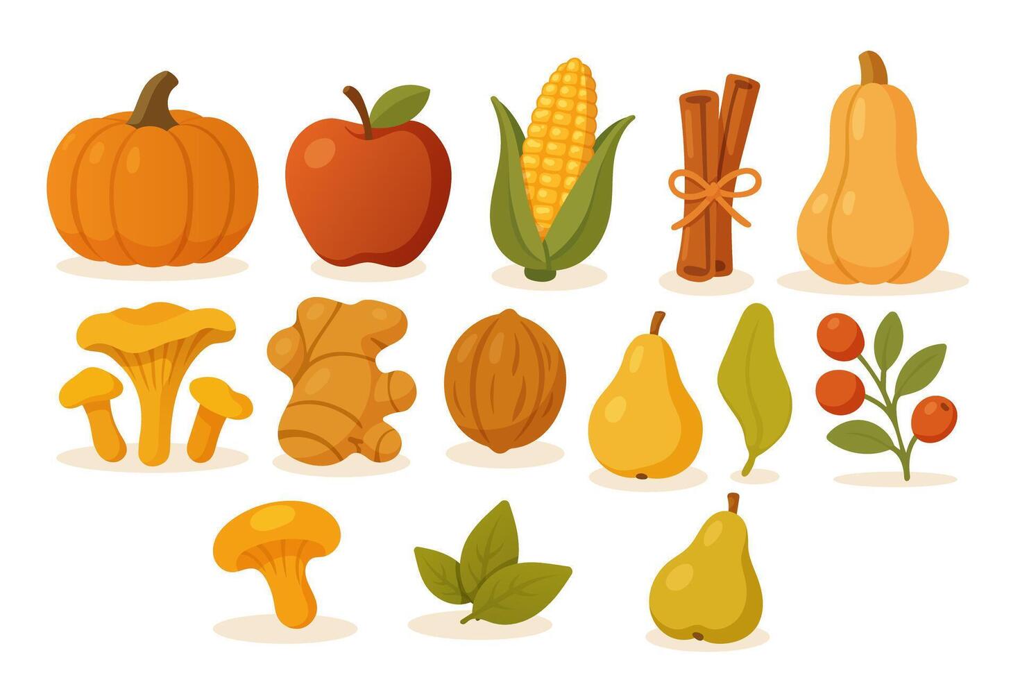 autumn set with food. pumpkin, apple, corn, cinnamon, chanterelle mushrooms, ginger, walnut, pear, red berry, honey mushrooms vector
