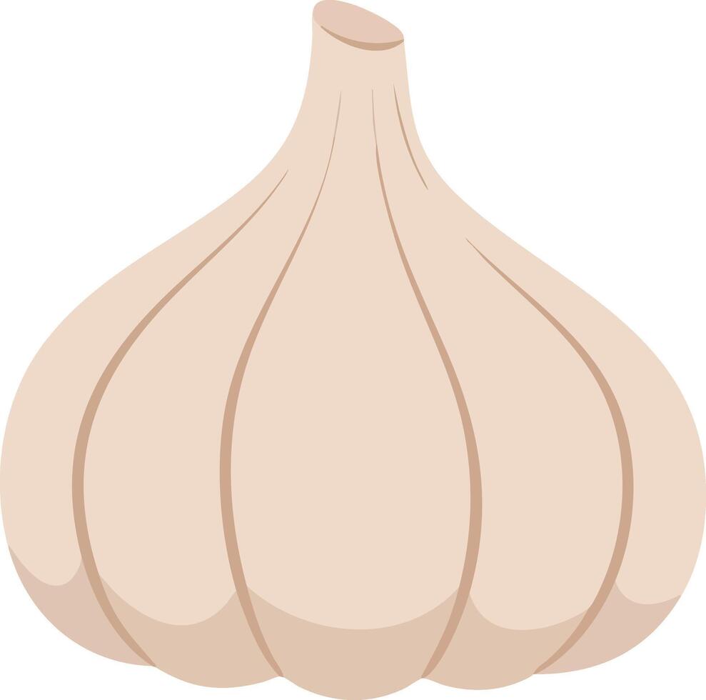 Garlic bulb illustration with pale beige tones simple natural food ingredient design vector