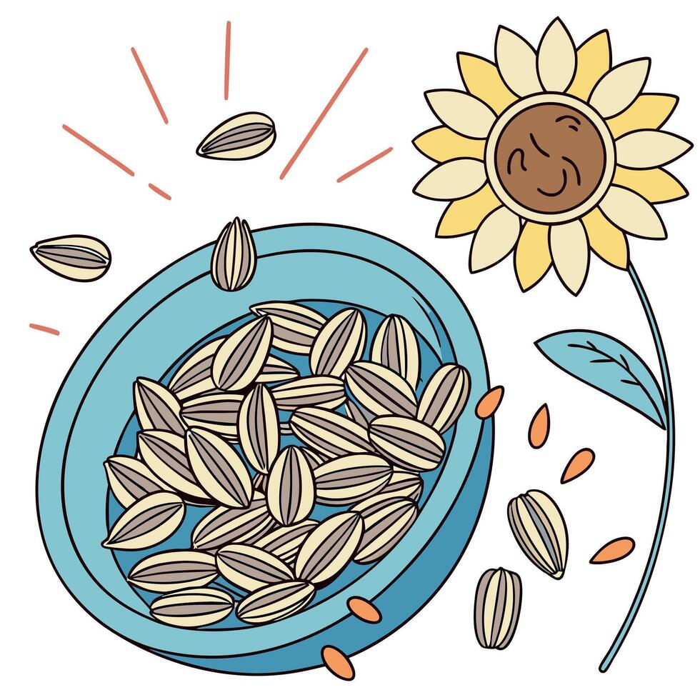 A bowl of sunflower seeds and a sunflower vector